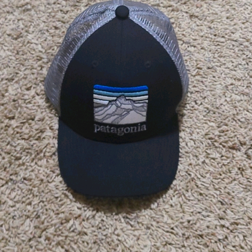 Patagonia Trucker Hat